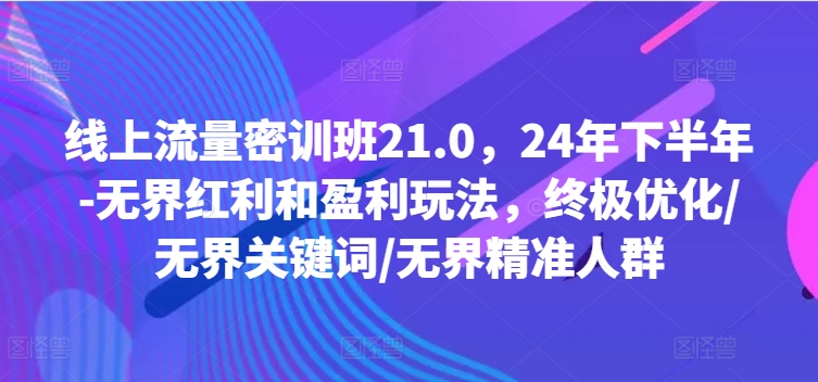 线上流量密训班21.0，24年下半年-无界红利和盈利玩法，终极优化/无界关键词/无界精准人群-网创资源社