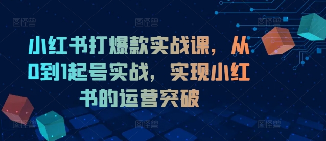 小红书打爆款实战课，从0到1起号实战，实现小红书的运营突破-网创资源社