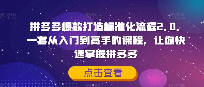 拼多多爆款打造标准化流程2.0，一套从入门到高手的课程，让你快速掌握拼多多-网创资源社