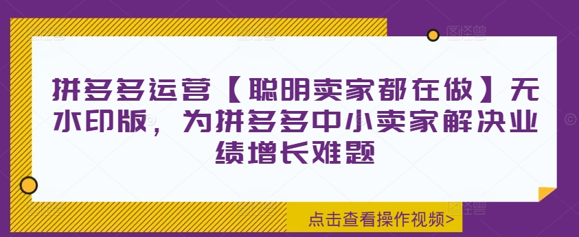 拼多多运营【聪明卖家都在做】无水印版，为拼多多中小卖家解决业绩增长难题-网创资源社