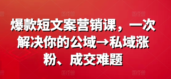 爆款短文案营销课，一次解决你的公域→私域涨粉、成交难题-网创资源社