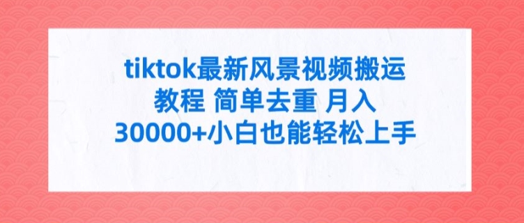 tiktok最新风景视频搬运教程 简单去重 月入3W+小白也能轻松上手【揭秘】-网创资源社