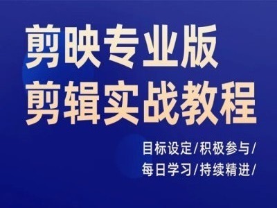 剪映专业版剪辑实战教程，目标设定/积极参与/每日学习/持续精进-网创资源社