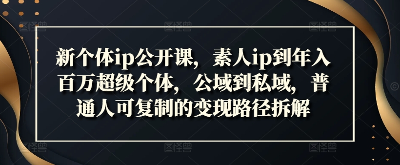 新个体ip公开课，素人ip到年入百万超级个体，公域到私域，普通人可复制的变现路径拆解-网创资源社