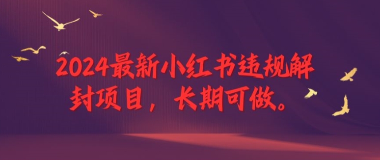 2024最新小红书违规解封项目，长期可做，一个可以做到退休的项目【揭秘】-网创资源社