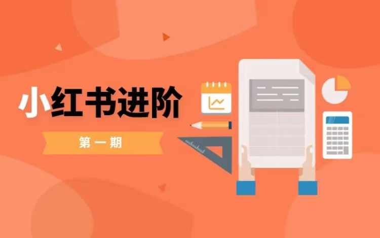 小红书进阶篇，零基础小白实战课，普通人变现的课程-网创资源社