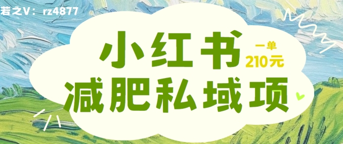 小红书减肥粉，私域变现项目，一单就达210元，小白也能轻松上手【揭秘】-网创资源社