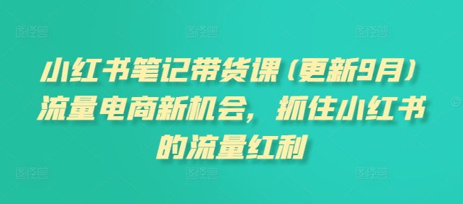 小红书笔记带货课(更新9月)流量电商新机会，抓住小红书的流量红利-网创资源社