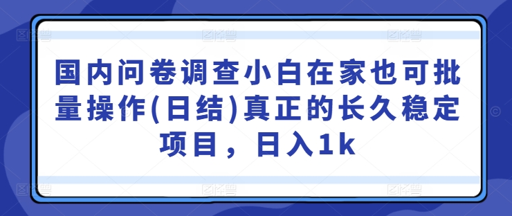 国内问卷调查小白在家也可批量操作(日结)真正的长久稳定项目，日入1k【揭秘】-网创资源社