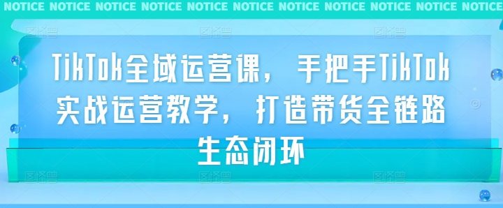 TikTok全域运营课，手把手TikTok实战运营教学，打造带货全链路生态闭环-网创资源社