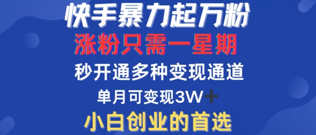 快手暴力起万粉，涨粉只需一星期，多种变现模式，直接秒开万合，单月变现过W【揭秘】-网创资源社