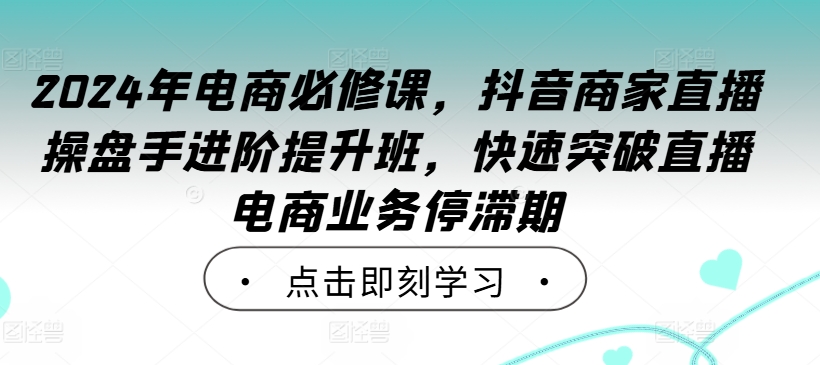 2024年电商必修课，抖音商家直播操盘手进阶提升班，快速突破直播电商业务停滞期-网创资源社