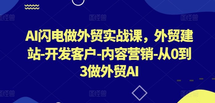 AI闪电做外贸实战课，​外贸建站-开发客户-内容营销-从0到3做外贸AI（更新）-网创资源社