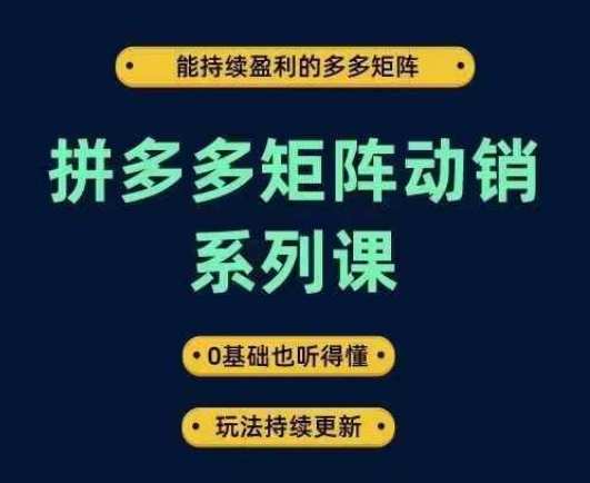 拼多多矩阵动销系列课，能持续盈利的多多矩阵，0基础也听得懂，玩法持续更新-网创资源社