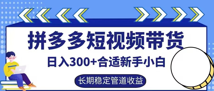 拼多多短视频带货日入300+有长期稳定被动收益，合适新手小白【揭秘】-网创资源社