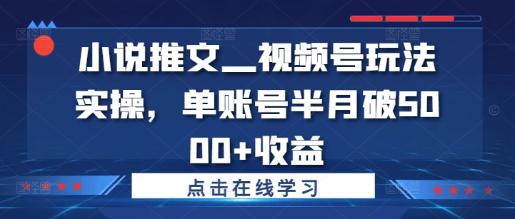 小说推文—视频号玩法实操，单账号半月破5000+收益-网创资源社