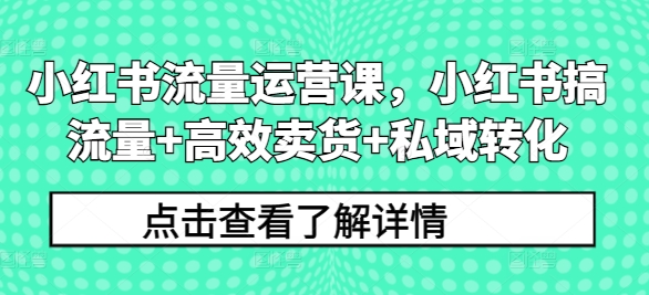 小红书流量运营课，小红书搞流量+高效卖货+私域转化-网创资源社