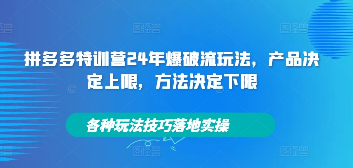 拼多多特训营24年爆破流玩法，产品决定上限，方法决定下限，各种玩法技巧落地实操-网创资源社