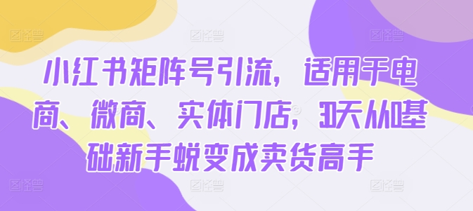 小红书矩阵号引流，适用于电商、微商、实体门店，30天从0基础新手蜕变成卖货高手-网创资源社