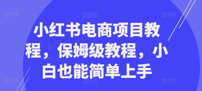 小红书电商项目教程，保姆级教程，小白也能简单上手-网创资源社