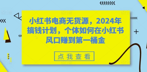 小红书电商无货源，2024年搞钱计划，个体如何在小红书风口赚到第一桶金-网创资源社