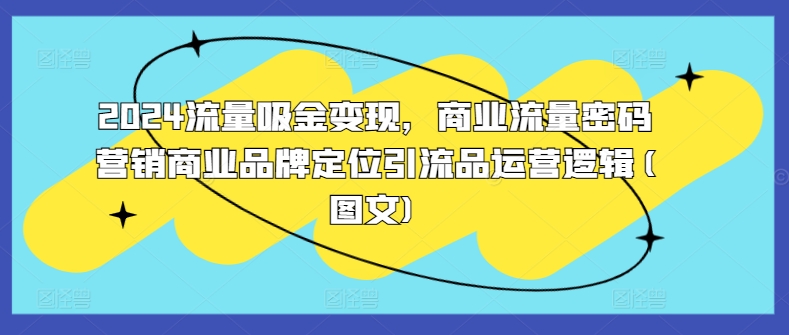 2024流量吸金变现，商业流量密码营销商业品牌定位引流品运营逻辑(图文)-网创资源社