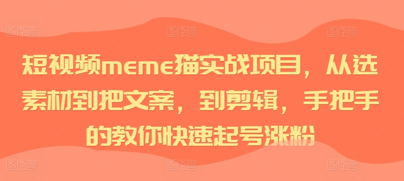 短视频meme猫实战项目，从选素材到把文案，到剪辑，手把手的教你快速起号涨粉-网创资源社