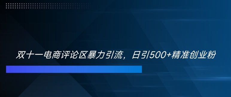 双十一电商评论区暴力引流，日引500+精准创业粉【揭秘】-网创资源社