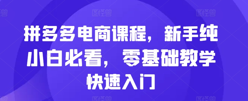 拼多多电商课程，新手纯小白必看，零基础教学快速入门-网创资源社