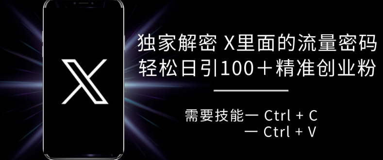 独家解密 X 里面的流量密码，复制粘贴轻松日引100+-网创资源社