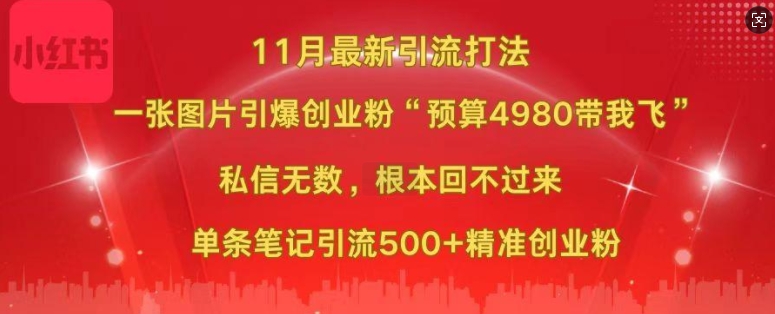 小红书11月最新图片打粉，一张图片引爆创业粉，“预算4980带我飞”，单条引流500+精准创业粉-网创资源社