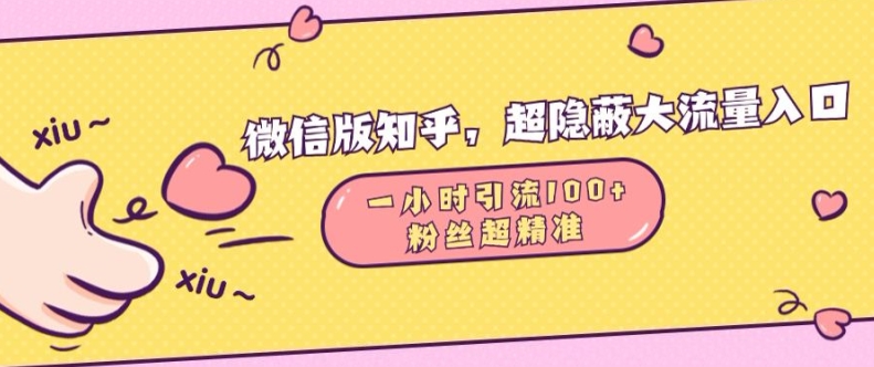 微信版知乎，超隐蔽流量入口1小时引流100人，粉丝质量超高【揭秘】-网创资源社