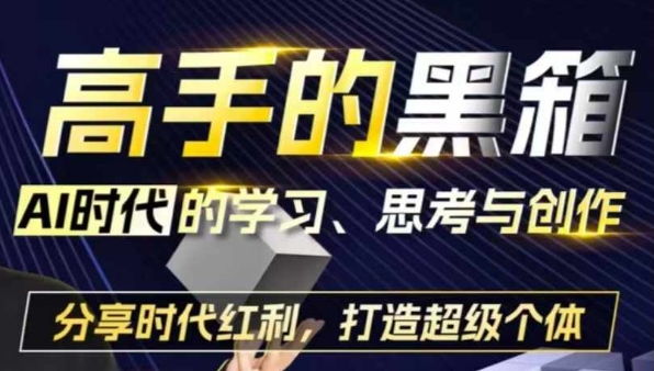 高手的黑箱：AI时代学习、思考与创作-分红时代红利，打造超级个体-网创资源社