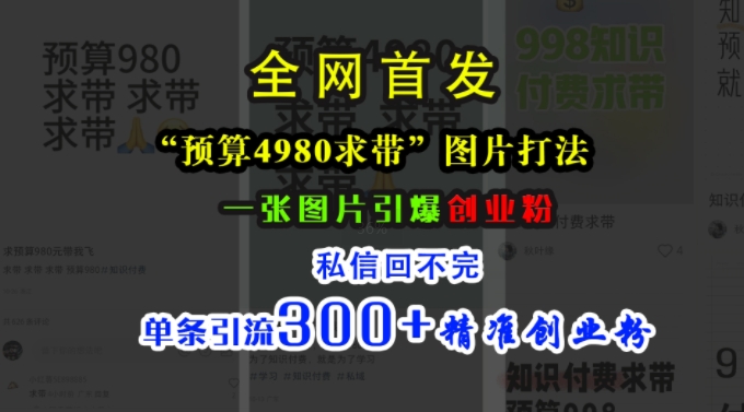 小红书“预算4980带我飞”图片打法，一张图片引爆创业粉，私信回不完，单条引流300+精准创业粉-网创资源社