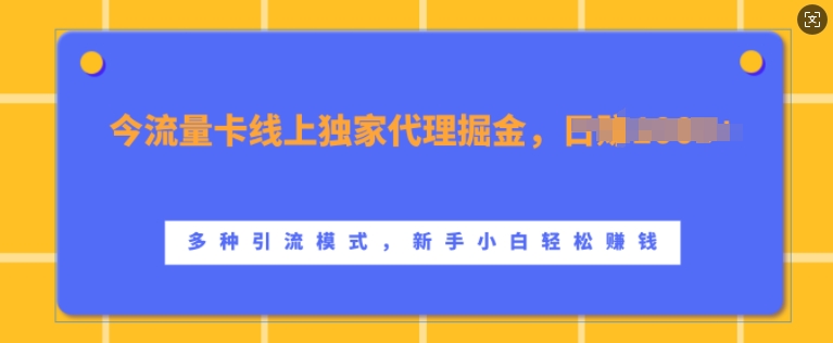 流量卡线上独家代理掘金，日入1k+ ，多种引流模式，新手小白轻松上手【揭秘】-网创资源社