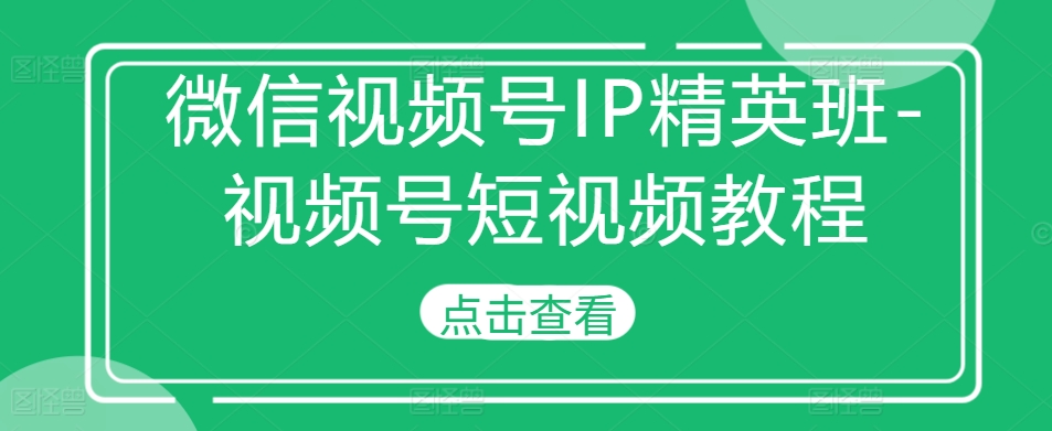 微信视频号IP精英班-视频号短视频教程-网创资源社