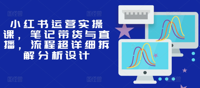 小红书运营实操课，笔记带货与直播，流程超详细拆解分析设计-网创资源社