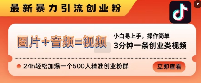 抖音最新暴力引流创业粉，3分钟一条创业类视频，24h轻松加爆一个500人精准创业粉群【揭秘】-网创资源社