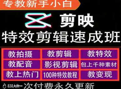 剪映特效教程和运营变现教程，特效剪辑速成班，专教新手小白-网创资源社