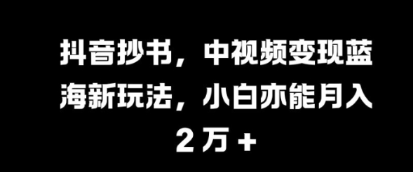 抖音抄书，中视频变现蓝海新玩法，小白亦能月入 过W【揭秘】-网创资源社