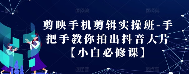 剪映手机剪辑实操班-手把手教你拍出抖音大片【小白必修课】-网创资源社