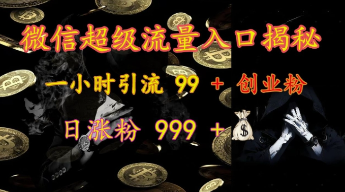 微信超级流量入口揭秘：一小时引流 99 + 创业粉，日涨粉 999 +-网创资源社